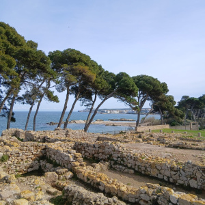 PHOTO-2026-03-10-20-25-25(1)