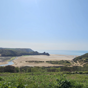 Gower
